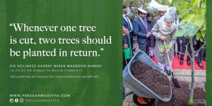 Read more about the article Tree Planting